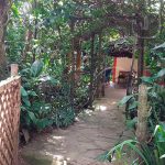 Descubre los destinos turísticos de Carazo