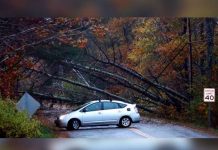 EEUU: Tormenta dejará a miles sin electricidad por días