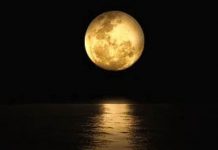 La luna de sangre y la ‘superluna de las flores’: Dónde y cuándo disfrutarlo ciencia, luna, astronomia,