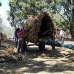 Fe, cultura y religiosidad en carretas peregrinas de Masaya