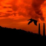 Quedan tres años para reducir los gases de efecto invernadero, dicen expertos