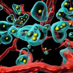 ciencia, salud, celulas, cancer,