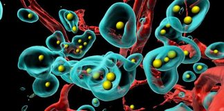 ciencia, salud, celulas, cancer,