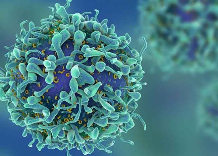 celulas salud, reino unido, cancer, tratamiento,