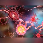 Alterar el sistema inmune para revertir la parálisis