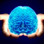 Descubren un método infalible para potenciar el cerebro