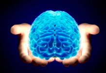 Descubren un método infalible para potenciar el cerebro