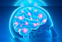 Recuperarse de una conmoción cerebral es más lento de lo que se creía