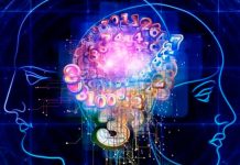 Por qué el cerebro de los hombres es más grande, pero el de las mujeres más eficiente