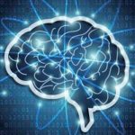 El cerebro también tiene vasos linfáticos