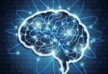 El cerebro también tiene vasos linfáticos