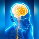 Aprender a leer de adulto provoca cambios profundos en el cerebro