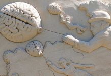 ¿El cerebro de las mujeres es más activo que el de los hombres?