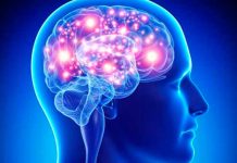 Científicos en EEUU identifican centro neural que controla el insomnio