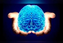 Identifican 40 nuevos genes relacionados con la inteligencia
