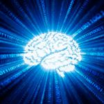 Conectan un cerebro humano a internet en tiempo real