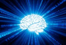 Conectan un cerebro humano a internet en tiempo real