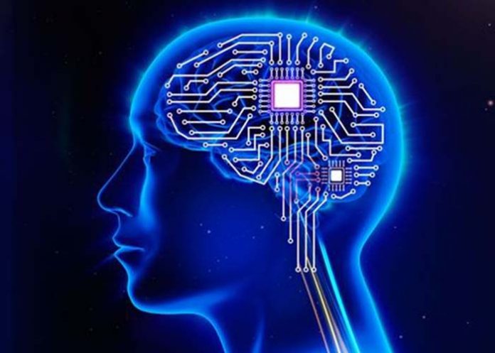 cerebro