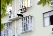 china, accidente, video, rescate, bebe, edificio, viral,