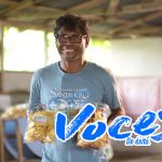 Chips del Caribe, el sabor de la costa al alcance de tu mano