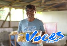 Chips del Caribe, el sabor de la costa al alcance de tu mano