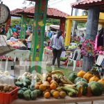 San Ramón, Matagalpa, espera un buen ciclo agrícola 2021 nicaragua, agricola, ciclo, matagalpa, produccion,