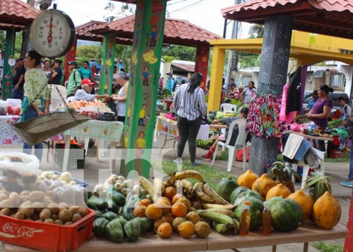 nicaragua, agricola, ciclo, matagalpa, produccion,
