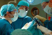Científico afirma que los humanos alcanzan a saber que murieron