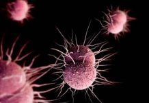 OMS alerta sobre enfermedad resistente a los antibióticos