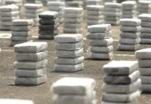 EE.UU. decomisa 16 toneladas cocaína por 420 millones dólares en el Pacífico