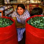 Bolivia explicará ley de la coca a la comunidad internacional
