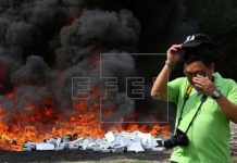 Autoridades de El Salvador destruyen 780 kilos de cocaína y 6 de marihuana