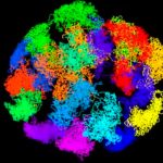 Crean la primera visualización en 3D de ADN activo