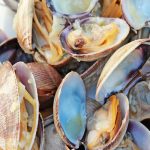 Enciende la pasión con estos alimentos afrodisíacos