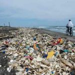 Honduras planea mejorar conservación de sus costas contra la contaminación honduras, costas, contaminancion, medio ambiente,