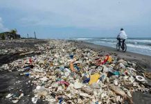 honduras, costas, contaminancion, medio ambiente,