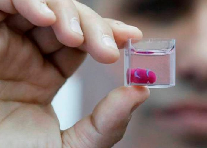 ciencia, mini corazon, celulas, enfermedades,