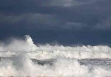 Cruz Roja prevé temporada récord de tormentas en Latinoamérica y EE.UU cruz roja, latinoamerica, tormentas, estados unidos,