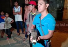 Cuajipal alarma a pobladores del Bo. Óscar Turcios