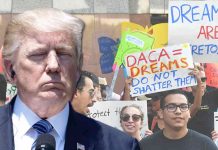 Trump dice que no puede haber DACA sin muro