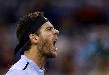 Del Potro y Federer se topan en la final en Basilea