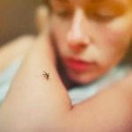 El dengue retrocede en Latinoamérica tras las cifras récord de 2019 latinoamerica, dengue, enfermedades, salud,