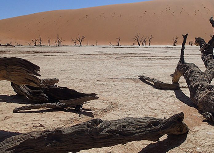 desierto