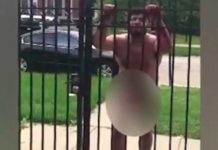 Video: Paseaba desnudo en vía pública y descargas eléctricas lo sorprendieron