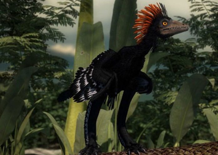 dino1