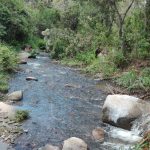 Trabajan por la recuperación de la cuenca del Río Dipilto