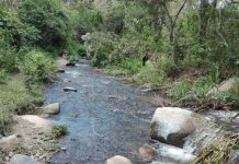 Trabajan por la recuperación de la cuenca del Río Dipilto