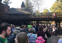 Evacúan algunas atracciones en Disneylandia por apagón