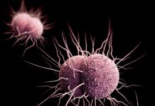 OMS alertó propagación de gonorrea resistente a antibióticos