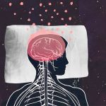 ¿Sabías que tu cerebro se encoge mientras duermes?